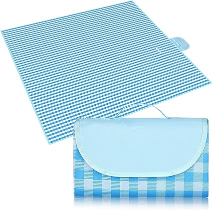 Patura de picnic albastra