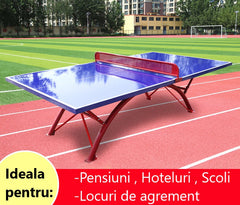Masa de tenis,ping pong, exterior, albastra, locatii